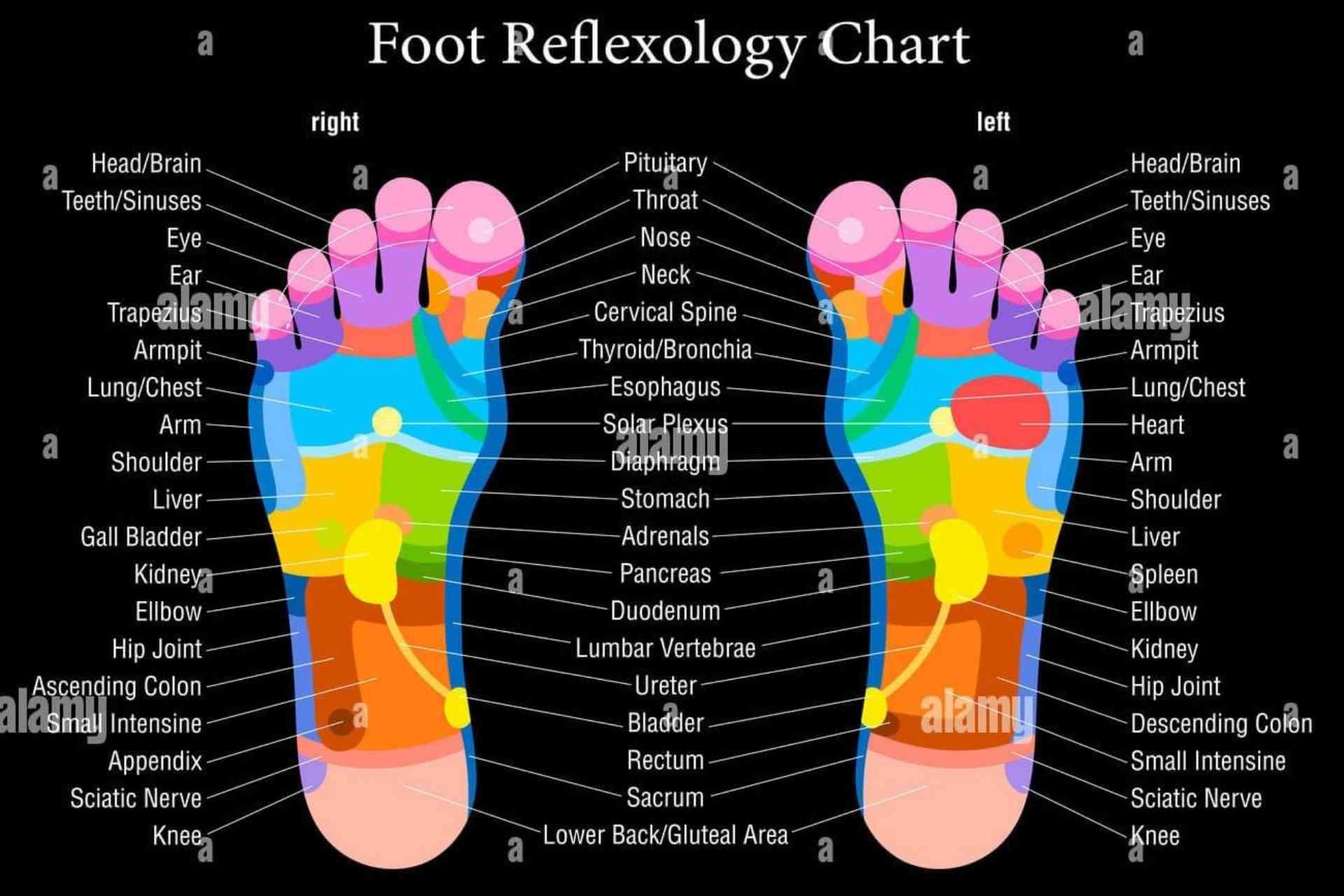 Thai Foot Reflexology Massage